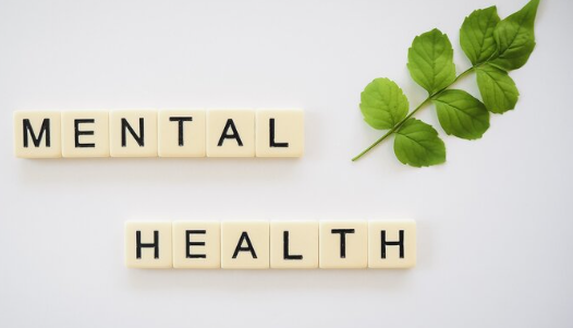 psühhosotsiaalsed ohutegurid ja vaimne tervis